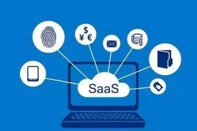 SaaS模式 應(yīng)用軟件服務(wù)的革命